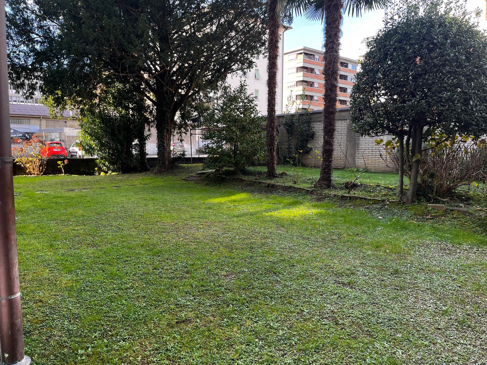 Private garden with palm trees and mature greenery at Via del Tiglio 17